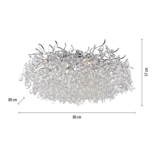 Ricicle laevalgusti - Image 7